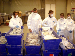 Einige der fragmentierte Dokumente