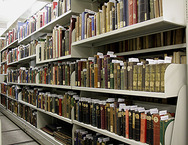 Blick ins Magazin. Besch&auml;digte Gewebeb&auml;nde der Herzogin Anna Amalia Bibliothek Weimar