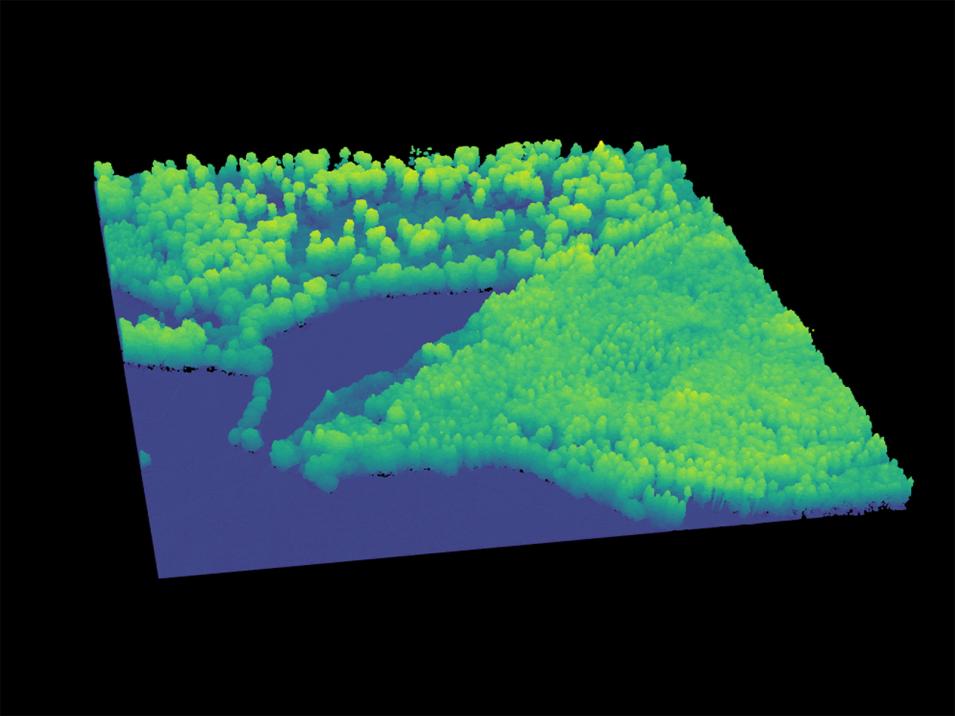 3D-Punktwolke aus dem Naturpark Solling